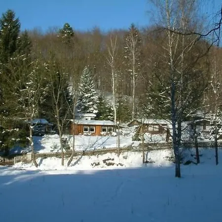 In Neustadt-harz Mit Grill By Interhome *